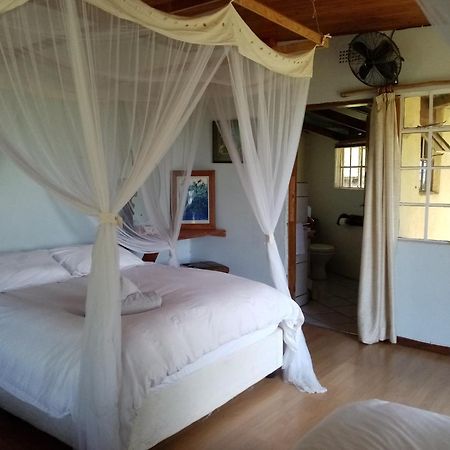 Hotel Bushwhacked Barberton Habitación foto