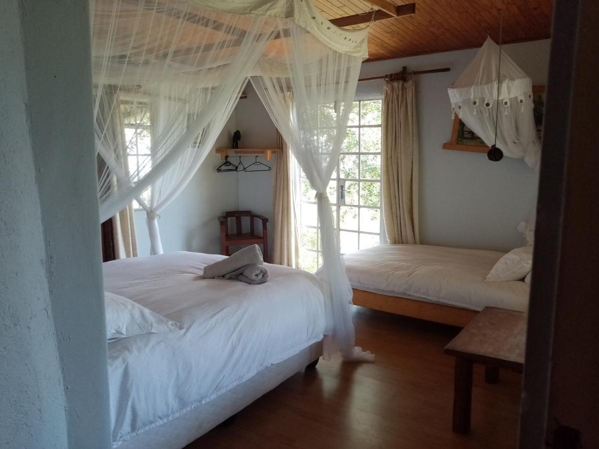 Hotel Bushwhacked Barberton Habitación foto